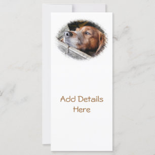 DOG CARDS