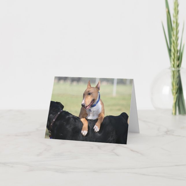 Dog Cards - I Got Your Back (Front)