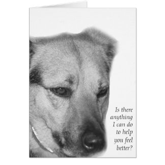 Dog Care and Support Card