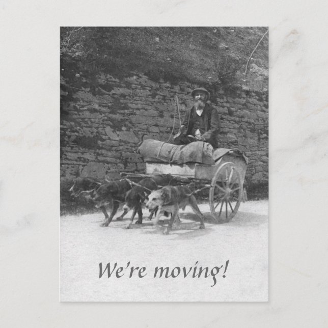 Dog cart with bearded man moving announcement postcard (Front)