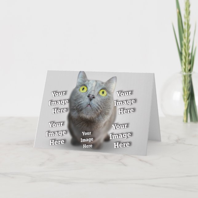 Dog Cat Bird Fab Amazing Photo Card (Front)