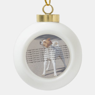 Dog Cat Bird Fab Amazing Photo Ceramic Ball Christmas Ornament