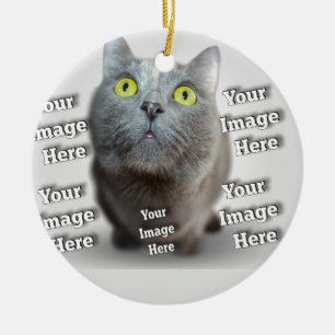 Dog Cat Bird Fab Amazing Photo Ceramic Ornament