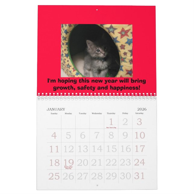 Dog & Cat Calendar (Jan 2026)