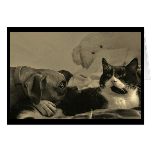 Dog & Cat Cuddle Card (Front Horizontal)