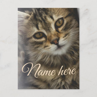 Dog cat pet name photo template simple minimal postcard