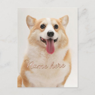 Dog cat pet name photo template simple minimal  postcard
