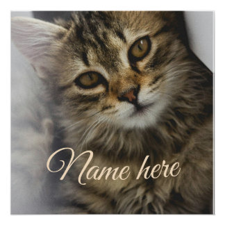 Dog cat pet name photo template simple minimal poster