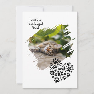 Dog Cat Pet Paw Custom Photo Valentine's Day Love Holiday Card