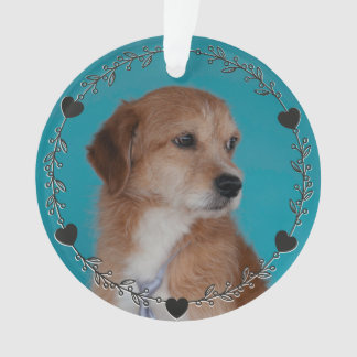 Dog Cat Pet Photo Hearts Custom Personalized Ornament