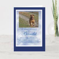Dog Cat Pet Sympathy Custom Photo Spiritual Poem