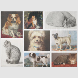 Dog Cat Pets 8 Photo Portrait Collage Keepsake Tissue Paper