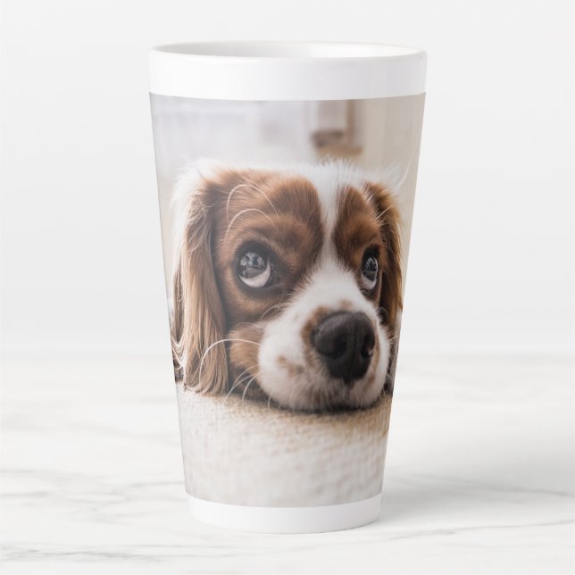Dog Cat Photo Gift Latte Mug (Front)