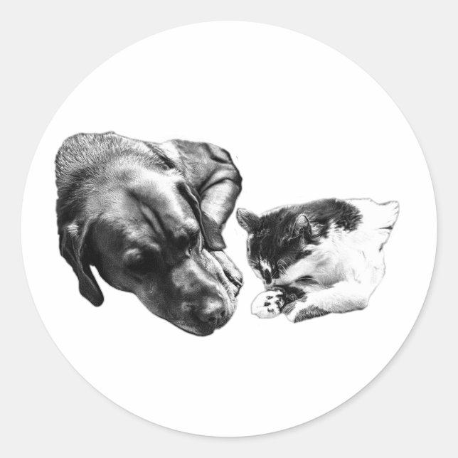 Dog & Cat Resting Together Monochrome Sticker (Front)
