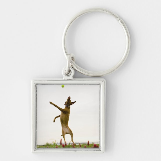 Dog catching tennis ball in mid-air keychain (Front)