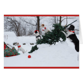 Dog Christmas Card