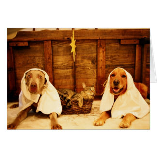 Funny Dog Christmas Cards, Photocards, Invitations &amp; More