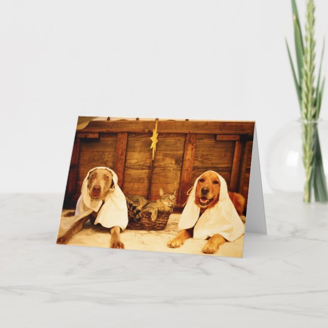 Dog Christmas Holiday Card (Front)