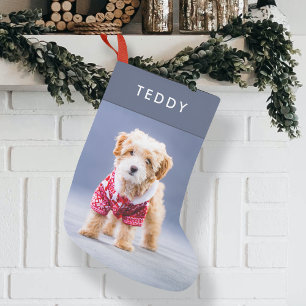 Dog Christmas   Modern Cute Blue Pet Photo Small Stocking