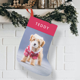 Dog Christmas Stocking   Modern Cute Red Pet Photo