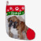 Dog Christmas Stockings - Personalized Photo