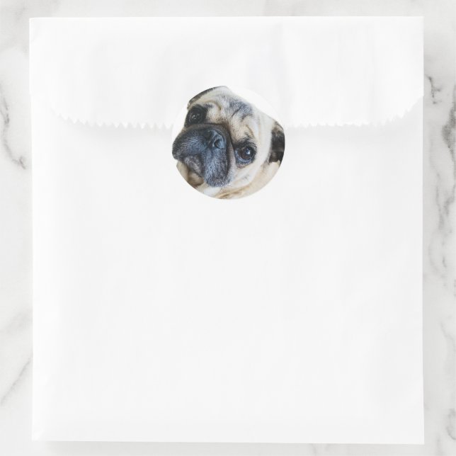 Dog Classic Round Sticker (Bag)