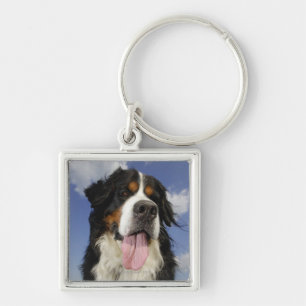 Dog, close-up keychain
