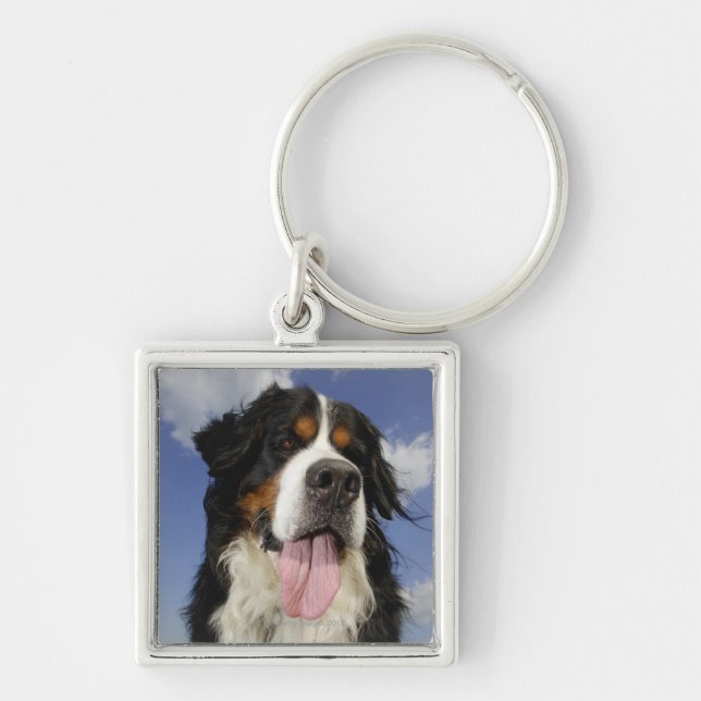 Dog, close-up keychain (Front)