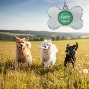 Dog collar ID tag for pets Customizable keychain