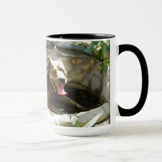 Dog Cooling in Water Mug