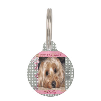 Dog Custom Photo Polka Dots  Pet ID Tag