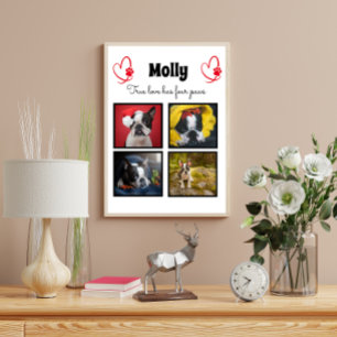 Dog customized collage 4 photos poster