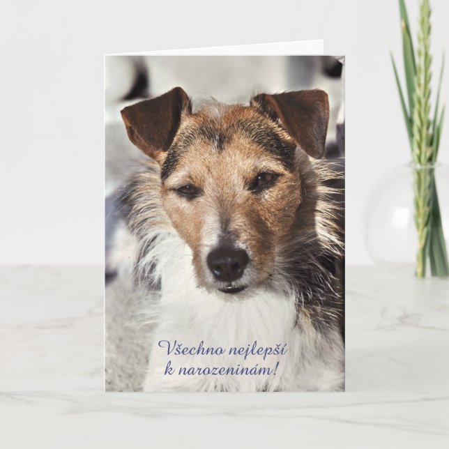 Dog Czech Birthday card (Front)