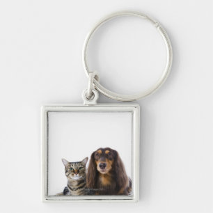 Dog (Dachshund) and cat (Japanese cat) on white Keychain