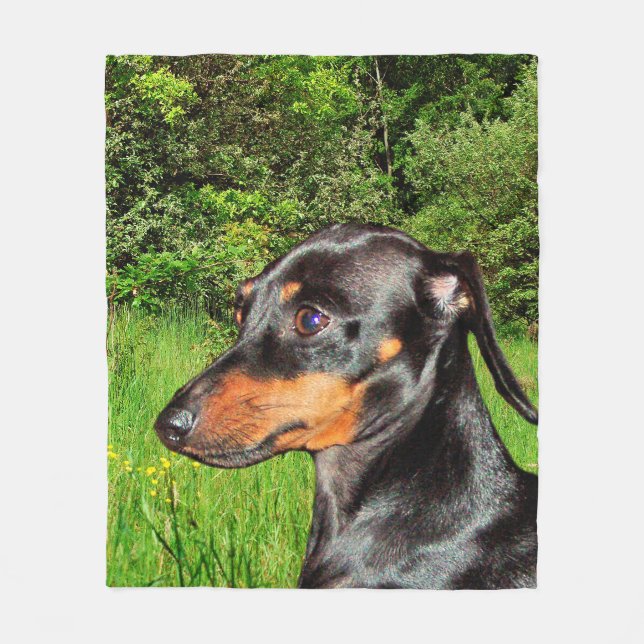 Dog Dachshund Doxie Fleece Blanket (Front)