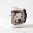 Dog Dad Funny Father's Day - Pet Photo