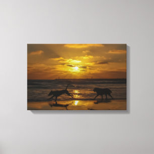 Dog Days in the Sun Canvas Print