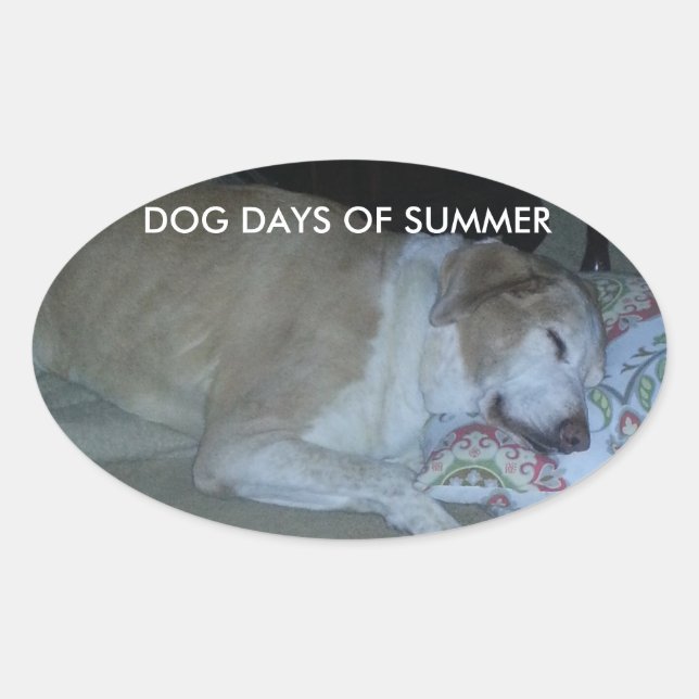 Dog days of summer white and beige lab grey hound oval sticker (Front)