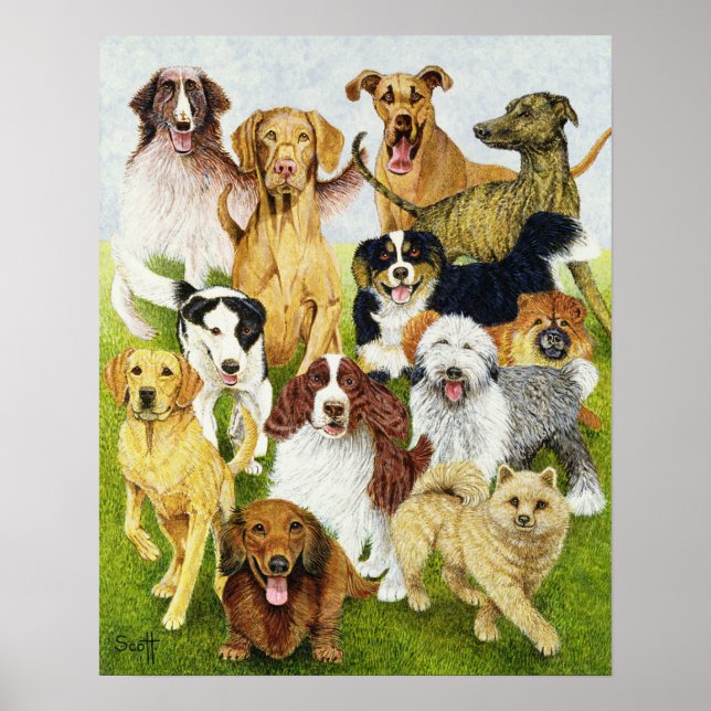 Dog Days Poster (Front)