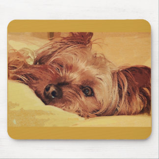 dog daze mouse pad