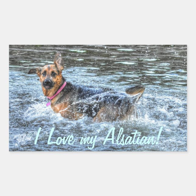 Dog Designs for Pet-lovers Sticker (Front)