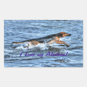 Dog Designs for Pet-lovers Sticker