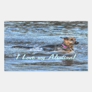 Dog Designs for Pet-lovers Sticker