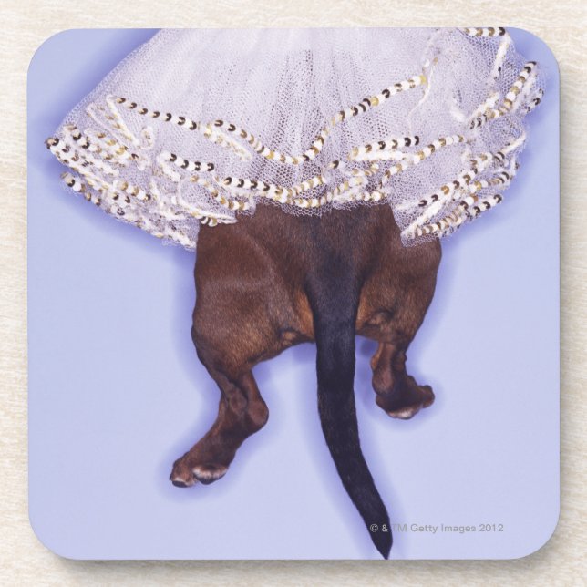 Dog dressed up coaster (Front)