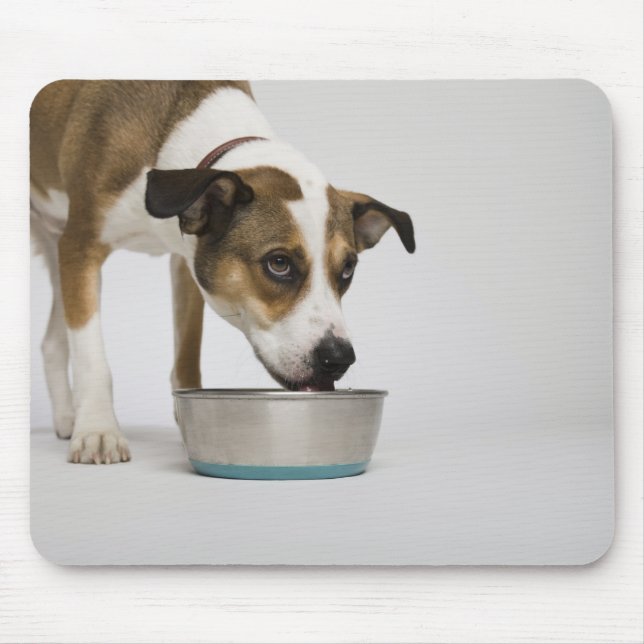 Dog eating from bowl mouse pad (Front)