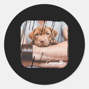 Dog Ever Pets Modern Nge Cool Photo Paw T Shirt Classic Round Sticker