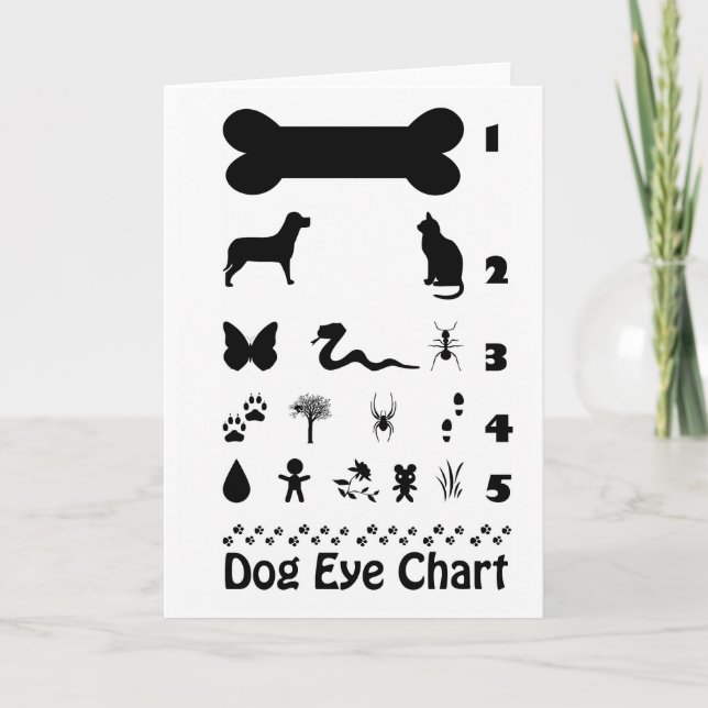 Dog Eye Chart Greeting Card (Front)