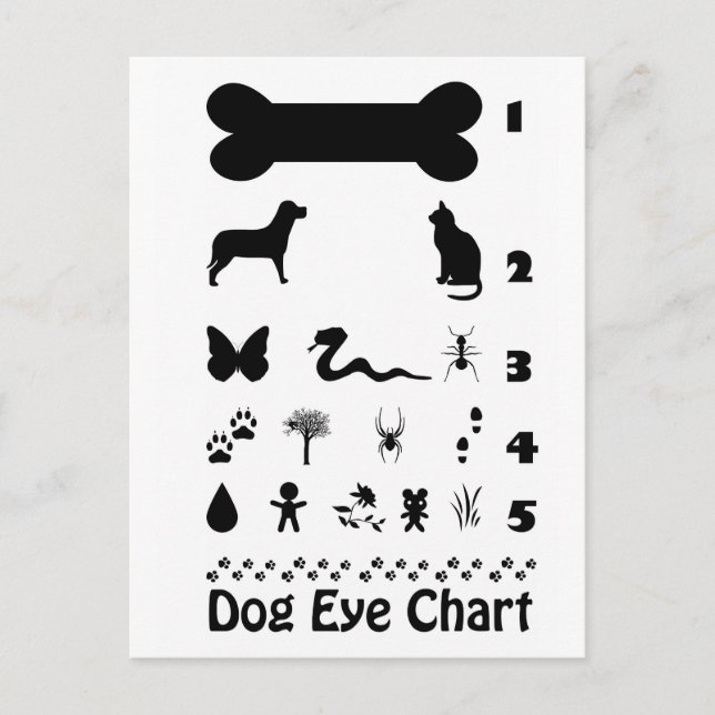 Dog Eye Chart Postcard (Front)