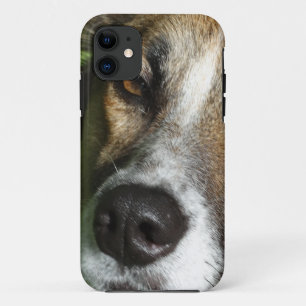 Dog Face Close Up iPhone SE + iPhone 5/5S, Barely iPhone 11 Case