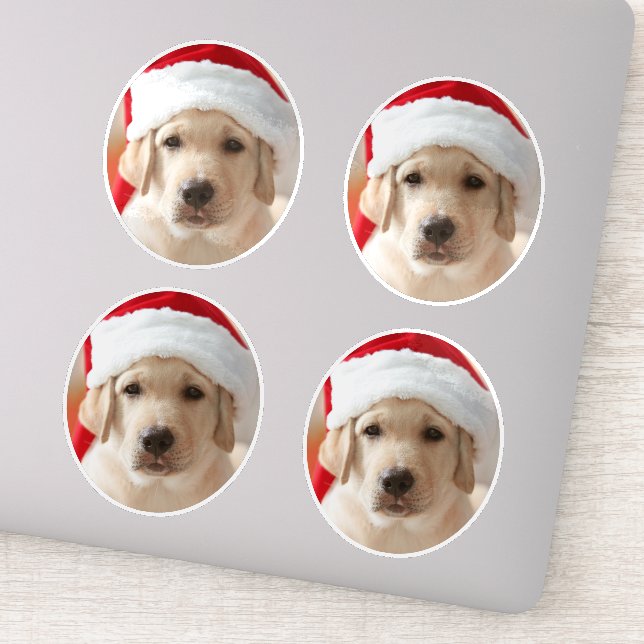 Dog Face Photo Custom Cut out (Detail)